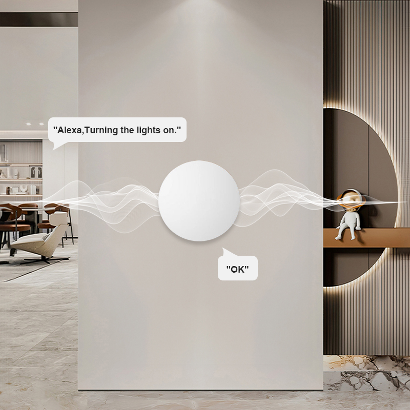 สวิตช์ควบคุมฉากไร้สาย ZigBee ส - Diy Electronics Button บทวิจารณ์และราคา